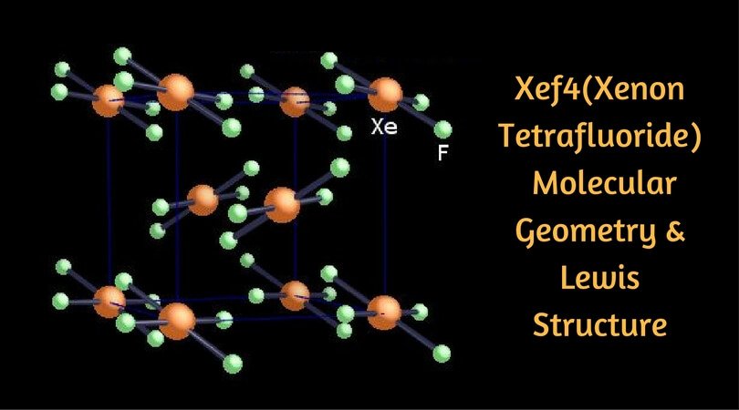 Xef4(Xenon Tetrafluoride) Molecular Geometry