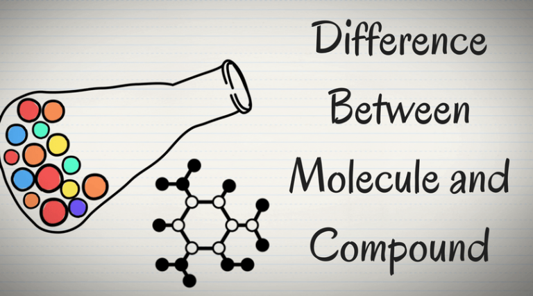 Molecule Vs Compound: What Is The Exact Difference