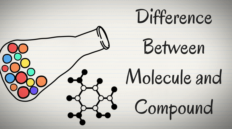 difference between molecule and compound