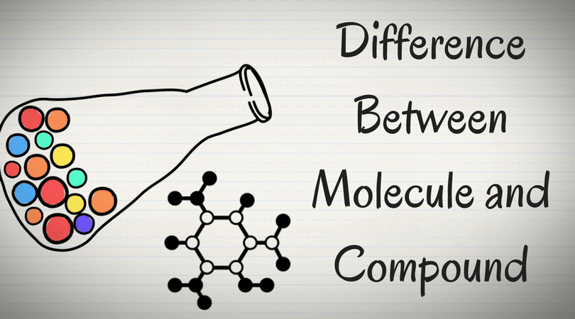 Molecule vs. Compound — Definition & Comparison - Expii