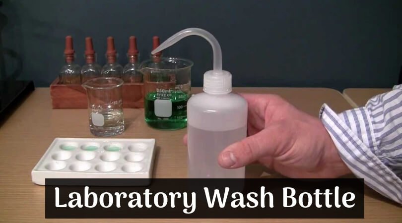 Laboratory Wash Bottle Top Reviewed Lab Squeeze Wash Bottle