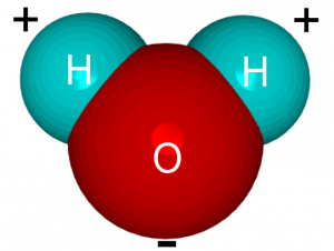 Formula Unit vs Molecule: Difference Between Chemistry Terms