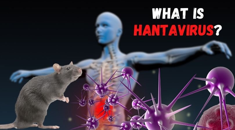 What is Hantavirus