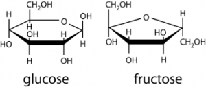 Pyranose vs Furanose- Know The Sugar Cyclization