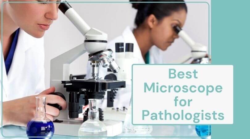 Best Microscope for Pathologists