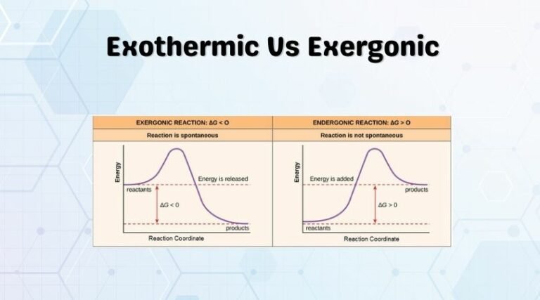 exothermic-vs-exergonic-reactions-know-the-difference