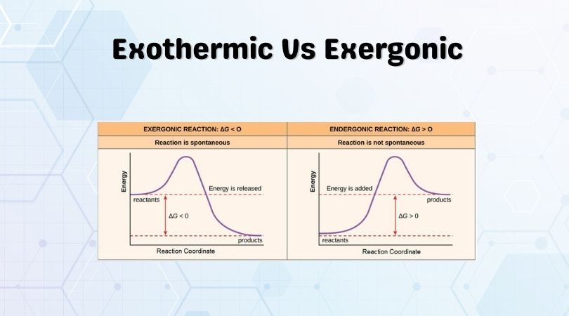 Exothermic Vs Exergonic