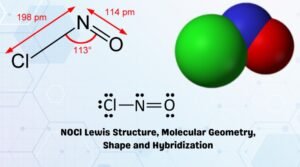 Geometry Of Molecules Everything Have Molecules