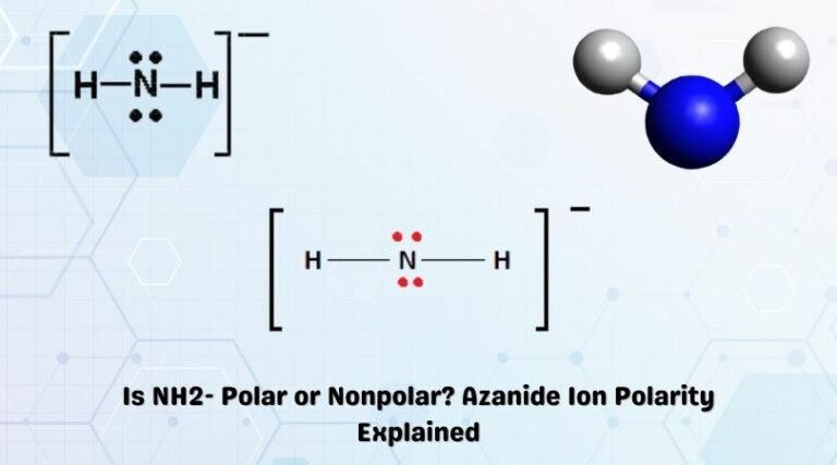 is-nh2-polar-or-nonpolar