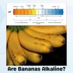 Are Bananas Alkaline