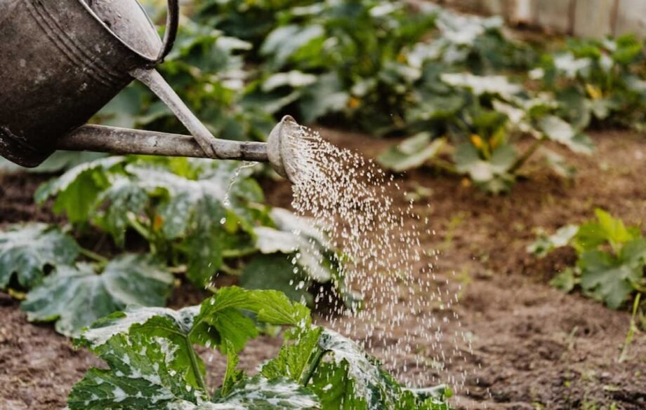 Stress-Free Gardening: Why the Right Tools Matter