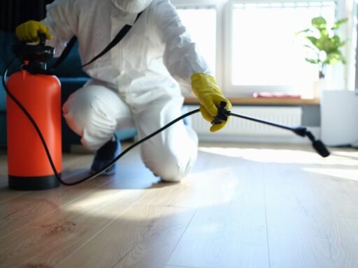 how-much-does-orkin-pest-control-cost-a-breakdown-1