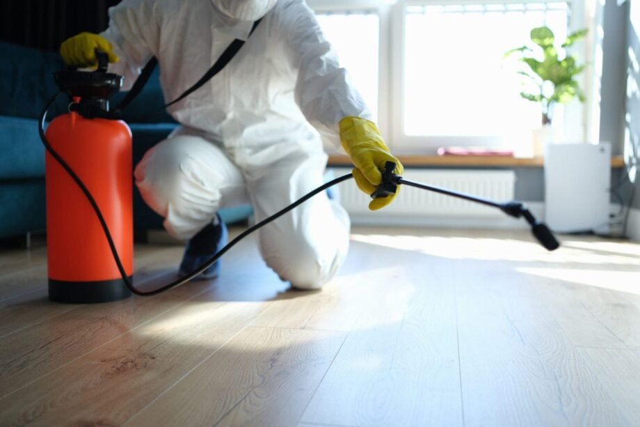 how-much-does-orkin-pest-control-cost-a-breakdown-1