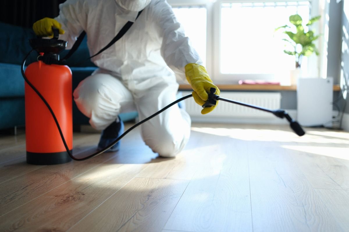 how-much-does-orkin-pest-control-cost-a-breakdown-1